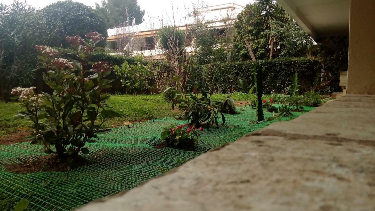Garden Studio 55 S.M. أثينا المظهر الخارجي الصورة